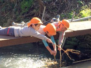 所沢市のあかねの風保育園のお散歩で魚釣りをする画像