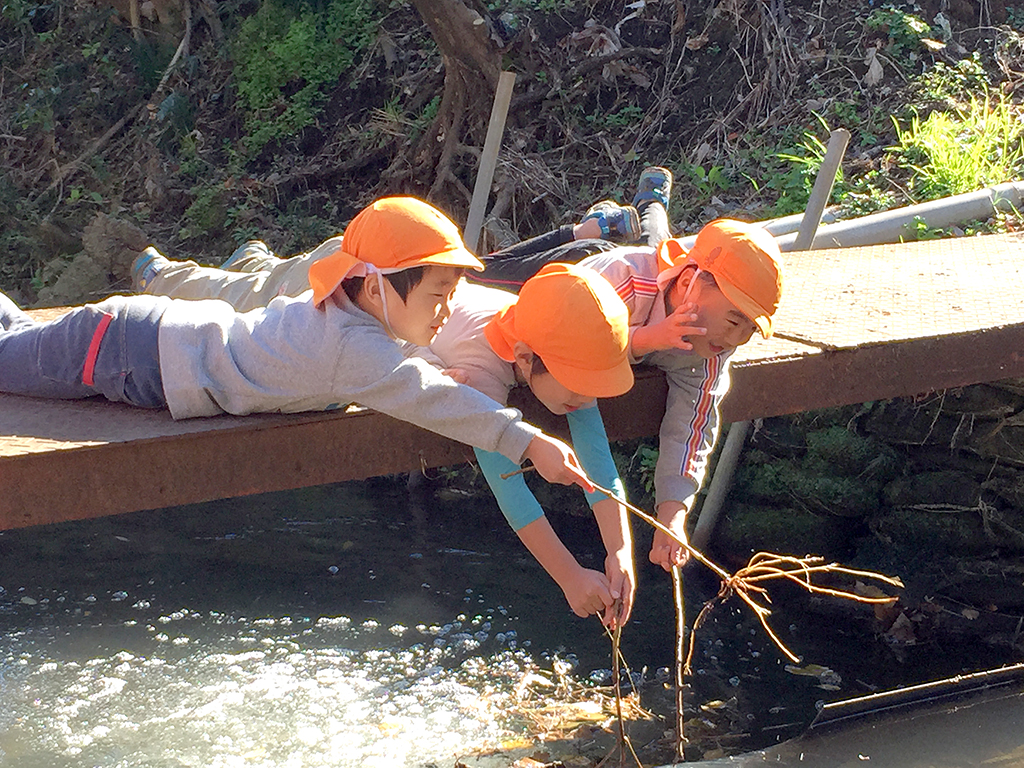 所沢市のあかねの風保育園のお散歩で魚釣りをする画像