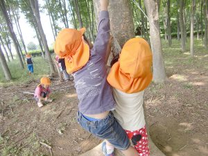 所沢市のあかねの風保育園のお散歩で木登りをする画像