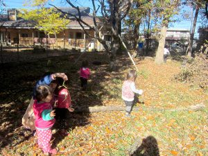 所沢市のあかねの虹保育園の秋の雑木林の画像