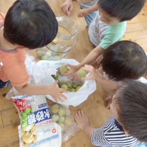 所沢市のあかね保育園のあそぼう会の梅ジュース作りの画像