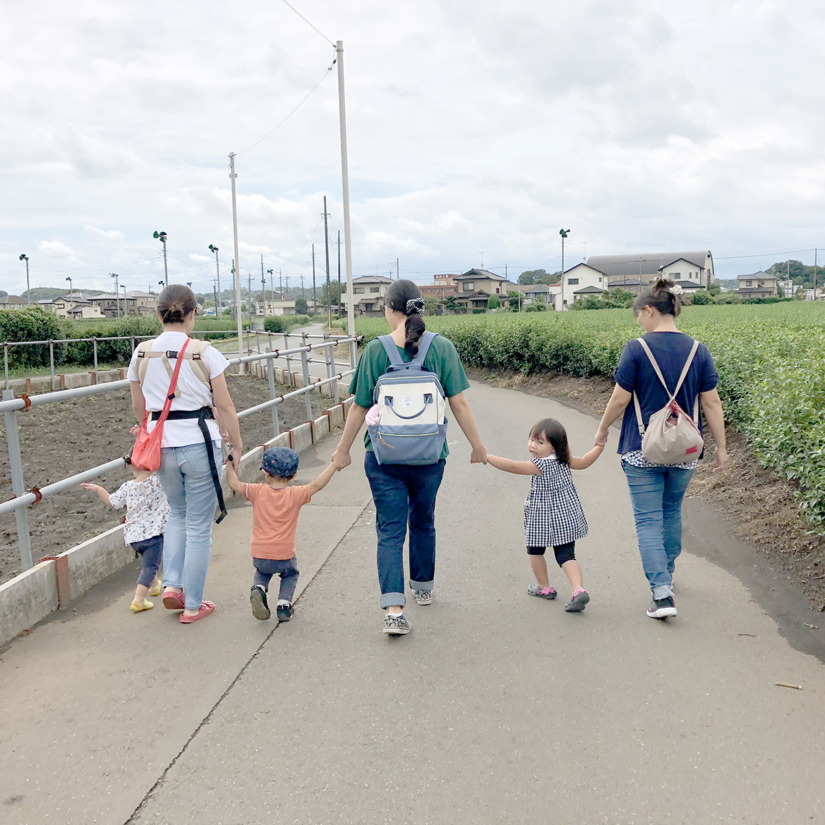所沢市のあかね保育園のあそぼう会の農道のお散歩の画像