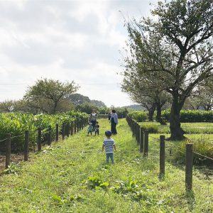 所沢市のあかね保育園のあそぼう会のお散歩の画像