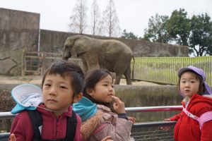 所沢市のあかねの虹保育園のひばり組３歳児クラス、ふくろう組４歳児クラス、おおたか組５歳児クラスが合同で東武動物公園に遠足に行った時の写真