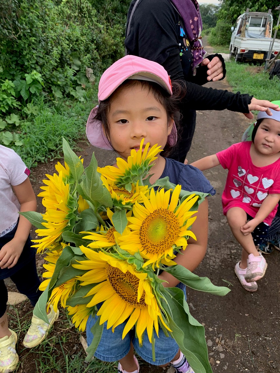 所沢市のあかねの虹保育園の子どもたちがお散歩でひまわり畑に行った時の写真