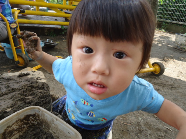 埼玉県所沢市にある、あかね保育園の1歳児が園庭で遊んでいる画像